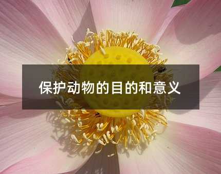 保护动物的目的和意义