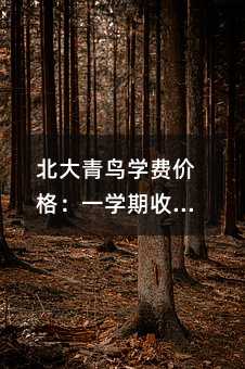 北大青鸟学费价格:一学期收费多少钱