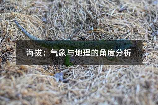 海拔:气象与地理的角度分析