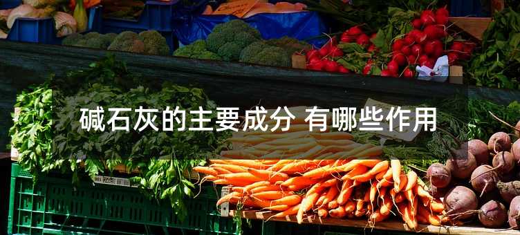 碱石灰的主要成分 有哪些作用