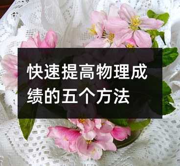 ������������ɼ����������