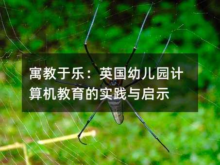 寓教于乐:英国幼儿园计算机教育的实践与启示