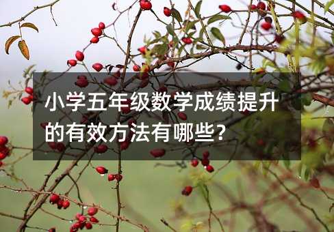 小学五年级数学成绩提升的有效方法有哪些?