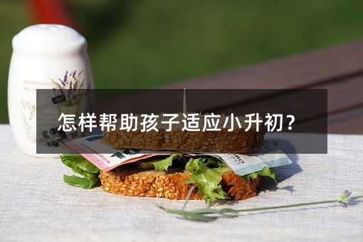 怎样帮助孩子适应小升初?