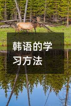 韩语的学习方法