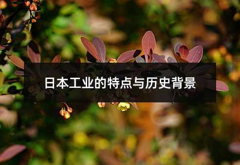 日本工业的特点与历史背景