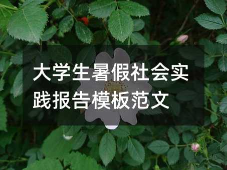 大学生暑假社会实践报告模板范文
