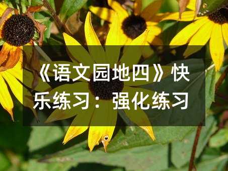 《语文园地四》快乐练习:强化练习