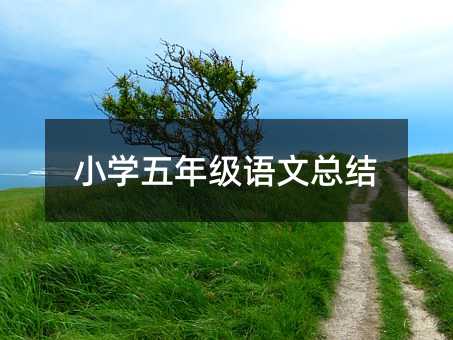 小学五年级语文总结