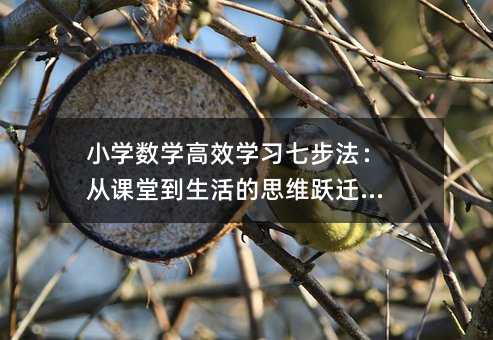 小学数学高效学习七步法:从课堂到生活的思维跃迁指南