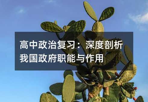 高中政治复习:深度剖析我国政府职能与作用