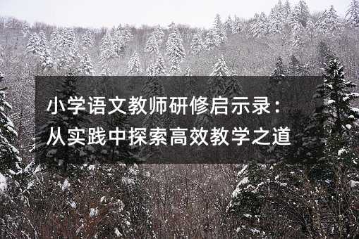 Сѧ���Ľ�ʦ������ʾ¼����ʵ����̽����Ч��ѧ֮��