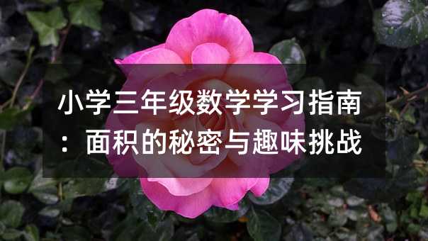 小学三年级数学学习指南:面积的秘密与趣味挑战