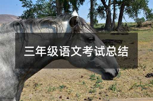 三年级语文考试总结
