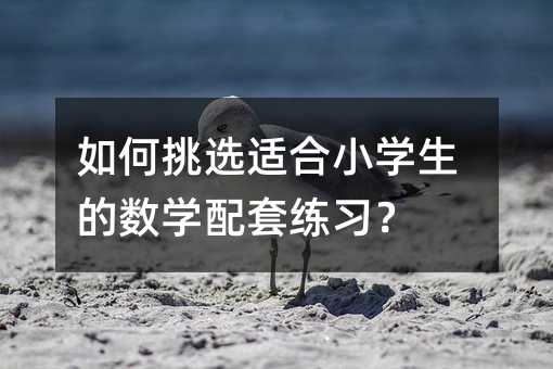 如何挑选适合小学生的数学配套练习?