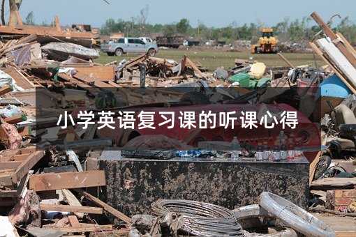 小学英语复习课的听课心得