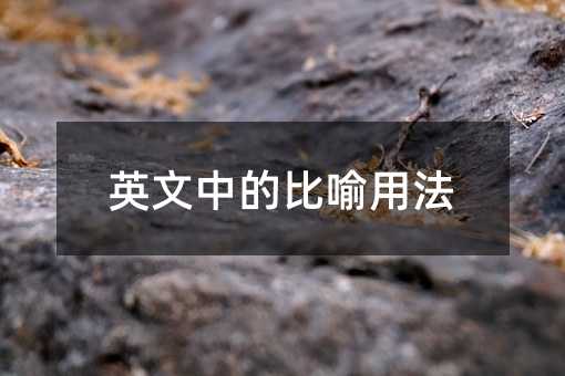 英文中的比喻用法