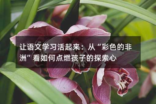 让语文学习活起来:从“彩色的非洲”看如何点燃孩子的探索心
