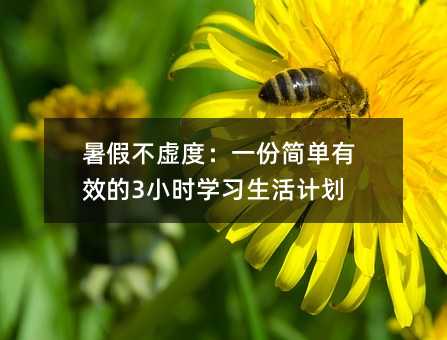 暑假不虚度:一份简单有效的3小时学习生活计划
