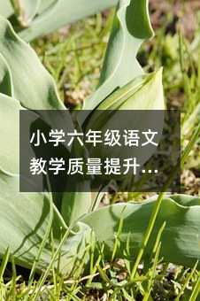 小学六年级语文教学质量提升方案篇