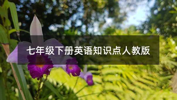 七年级下册英语知识点人教版