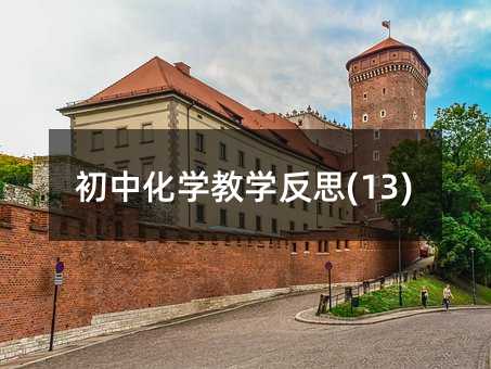 初中化学教学反思(13)