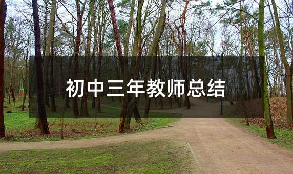 初中三年教师总结