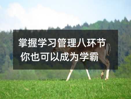 掌握学习管理八环节 你也可以成为学霸