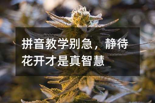 拼音教学别急,静待花开才是真智慧