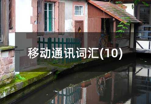移动通讯词汇(10)