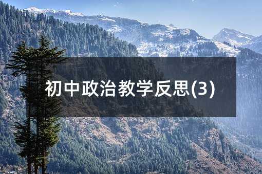 初中政治教学反思(3)