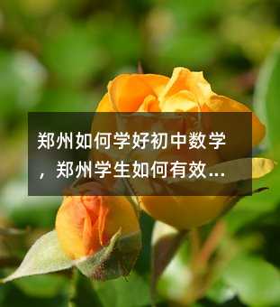 ֣ѧóѧ֣ѧЧѧϰѧ