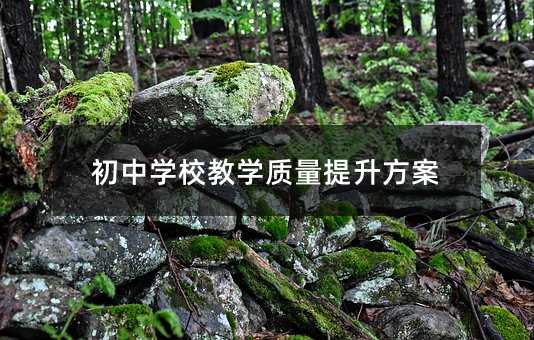 初中学校教学质量提升方案