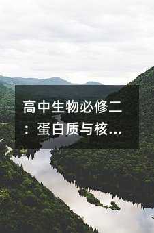 高中生物必修二:蛋白质与核酸,生命的密码解密