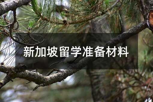 新加坡留学准备材料