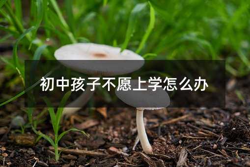 ���к��Ӳ�Ը��ѧ��ô��