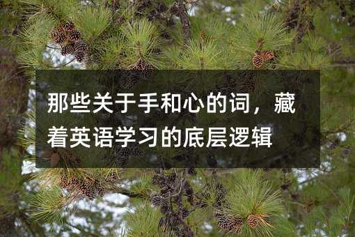 ��Щ�����ֺ��ĵĴʣ�����Ӣ��ѧϰ�ĵײ��߼�