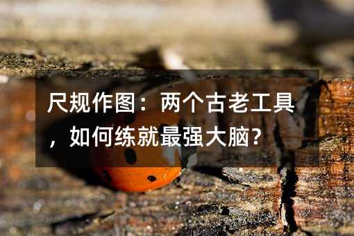 �߹���ͼ���������Ϲ��ߣ����������ǿ���ԣ�