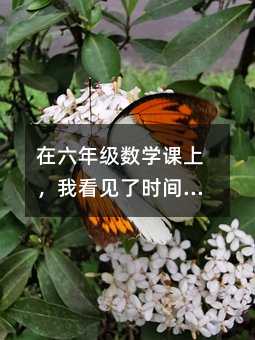 �����꼶��ѧ���ϣ��ҿ�����ʱ���õ��
