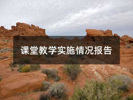 课堂教学实施情况报告