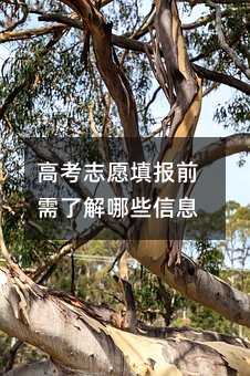 高考志愿填报前需了解哪些信息