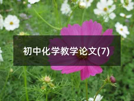 ���л�ѧ��ѧ����(7)