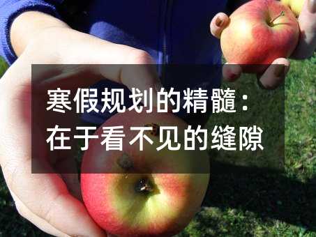 寒假规划的精髓:在于看不见的缝隙