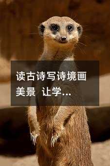 读古诗写诗境画美景 让学生的想象展翅飞 古诗两首《游园不值》、《宿新市徐公店》篇