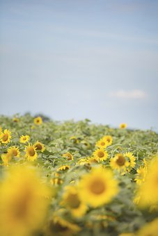 �������������պ��������ؼ��㣬������п���ϰ�°빦��