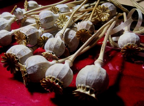 ���ĸ�ϰ�ġ������߼�����Ϊ�����Ŭ����ȴ�����ò����߷֣�