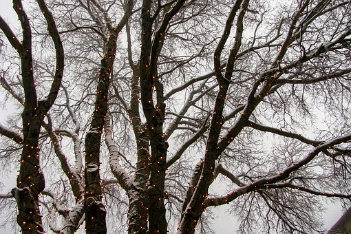 乌鲁木齐中小学10月18日起调整作息时间