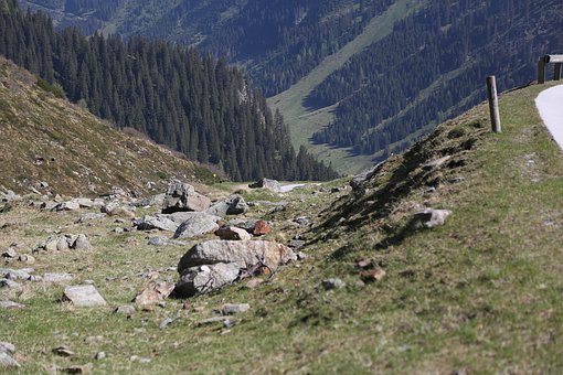 ������﷨ͻ�Ƽǣ�����Ӣ�ĵĸ����÷�