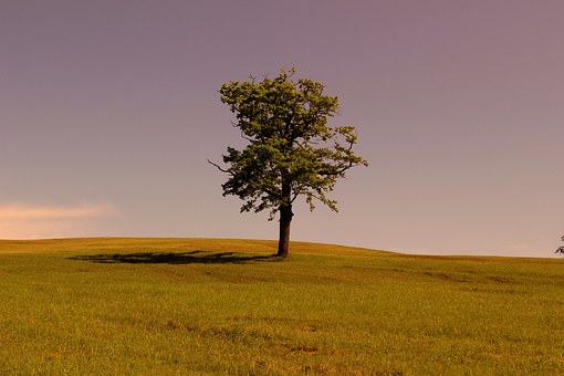 Сѧ����˵�θ� ����ƪ